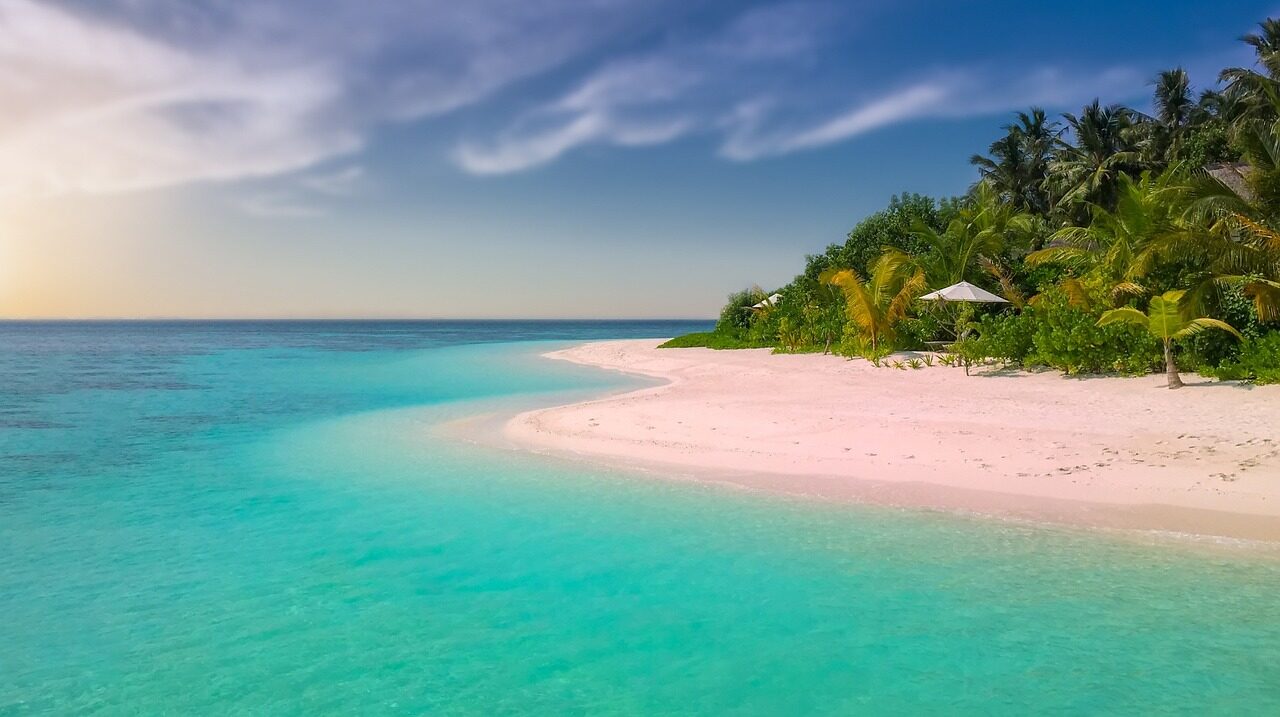 beach, paradise, island, palm trees, ocean, romantic, sunset, seascape, sea, summer, bathing, holiday, nature, sandy beach, vacations
