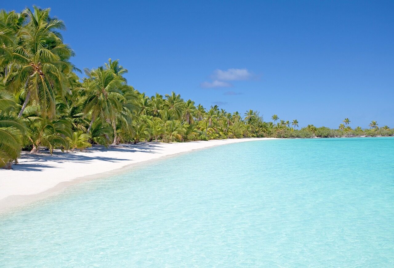beach, island, nature, ocean, sea, seascape, seashore, palm trees, water, paradise, tropical, tropical island, sand, sandy beach, white sand
