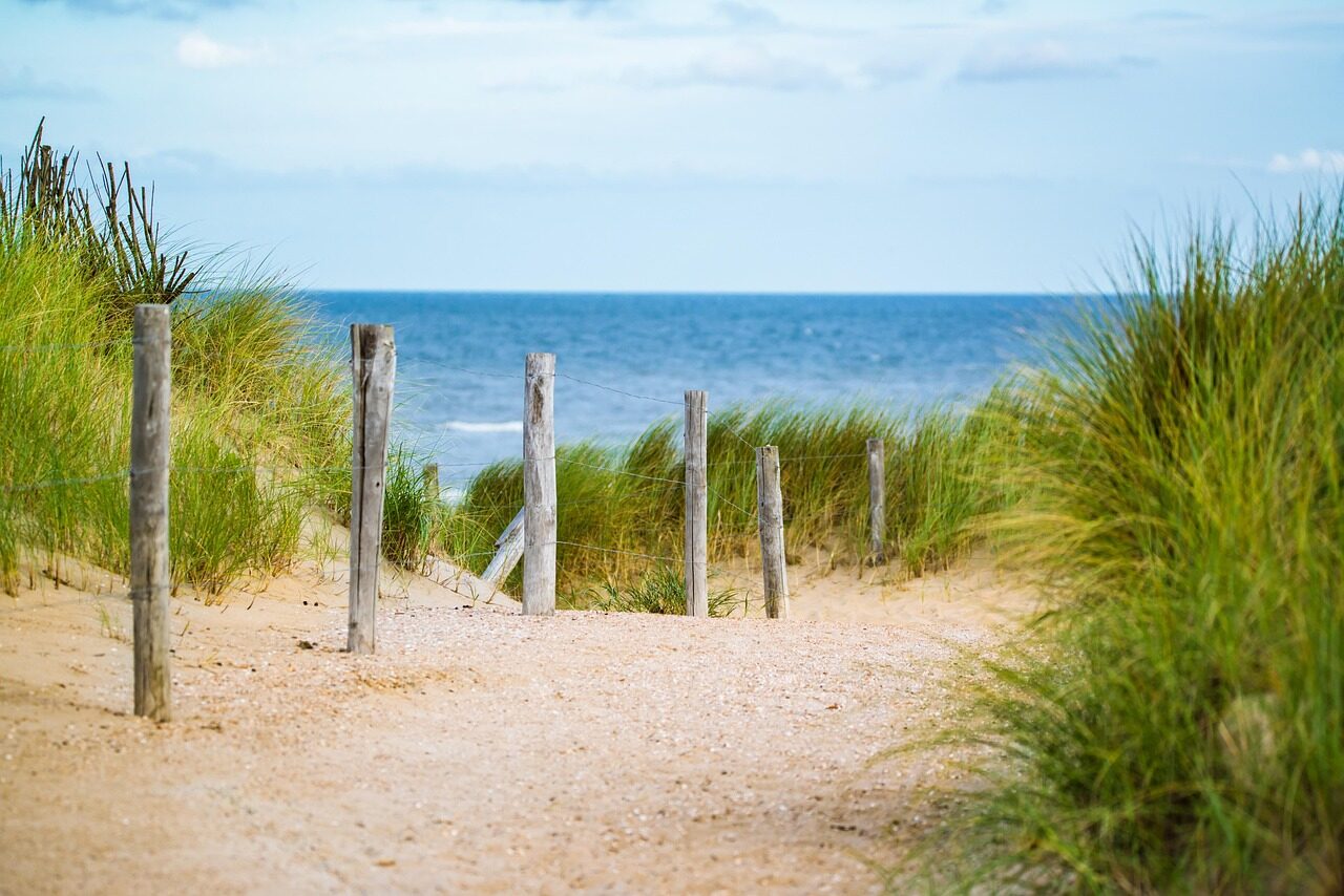 thin, sea, fence, water, vacation, north sea, path, sand, nature, beach, landscape, travel
